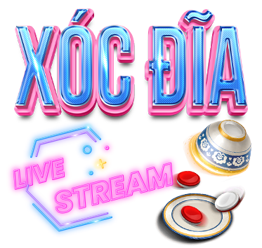 X&oacute;c đĩa dom88